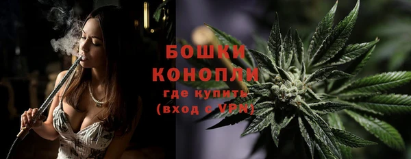 тгк Горно-Алтайск