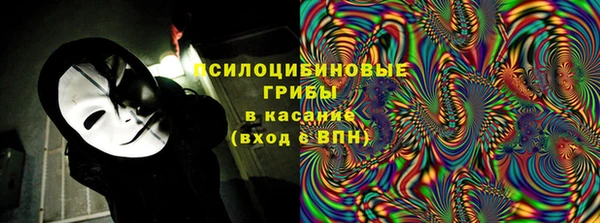 МДПВ Горнозаводск