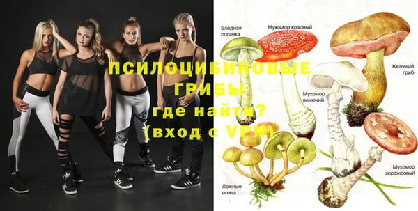 прущие грибы Вяземский