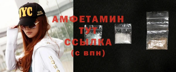 прущие грибы Вяземский