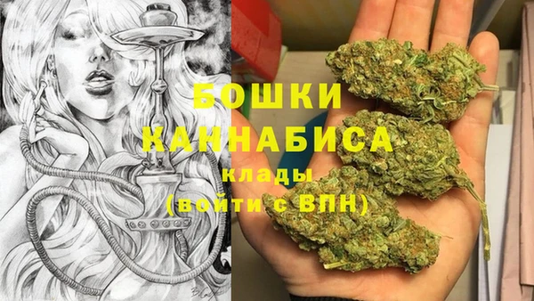 МДПВ Горнозаводск