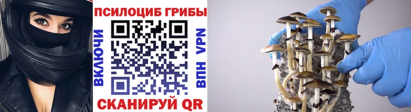 купить  цена  Суровикино  Псилоцибиновые грибы ЛСД 